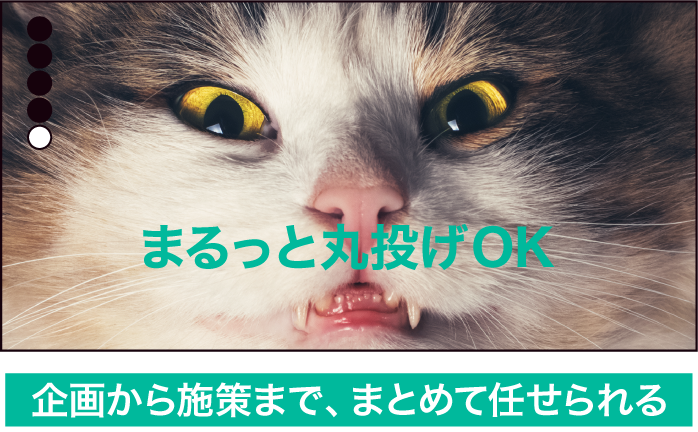 ④まるっと丸投げOK
企画から施策まで、まとめて任せられる