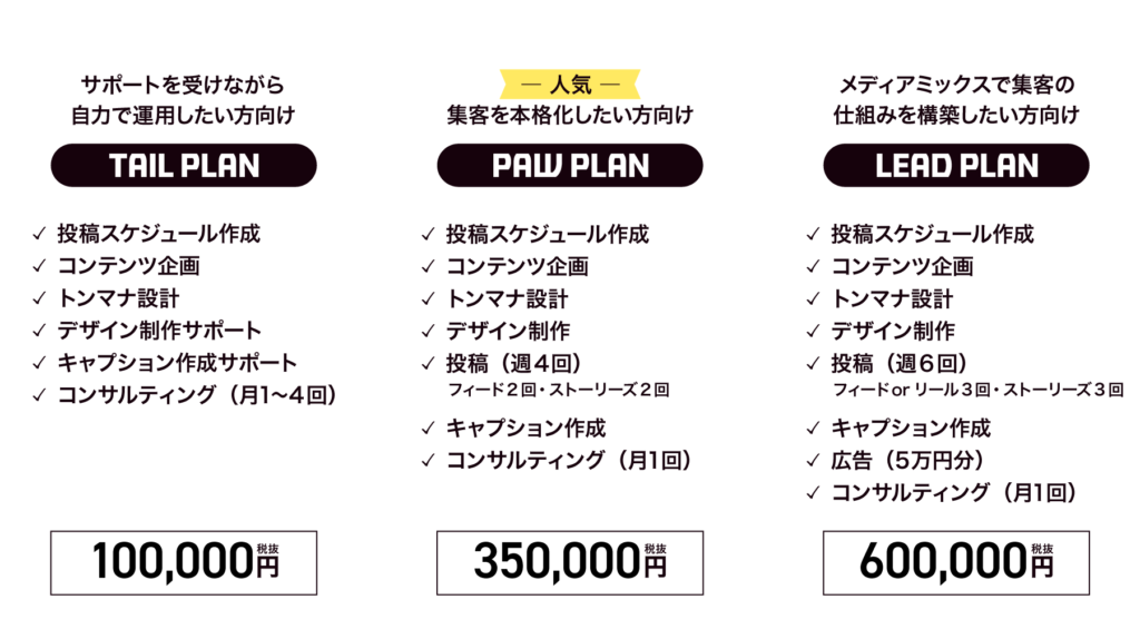 ①整えて、無理なく続ける「TAIL PLAN」
サポートを受けながら自力で運用したい方向け
②集客導線まで考える実践型「PAW PLAN」
集客を本格化したい方向け
③本気で成果を取りに行く「LEAD PLAN」
メディアミックスで集客の仕組みを構築したい方向け