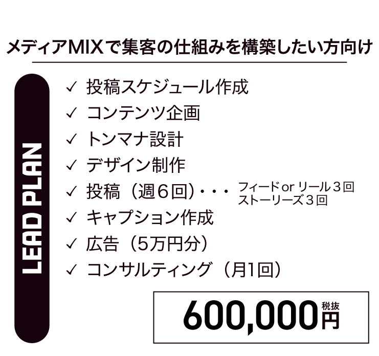 本気で成果を取りに行く「LEAD PLAN」
メディアミックスで集客の仕組みを構築したい方向け