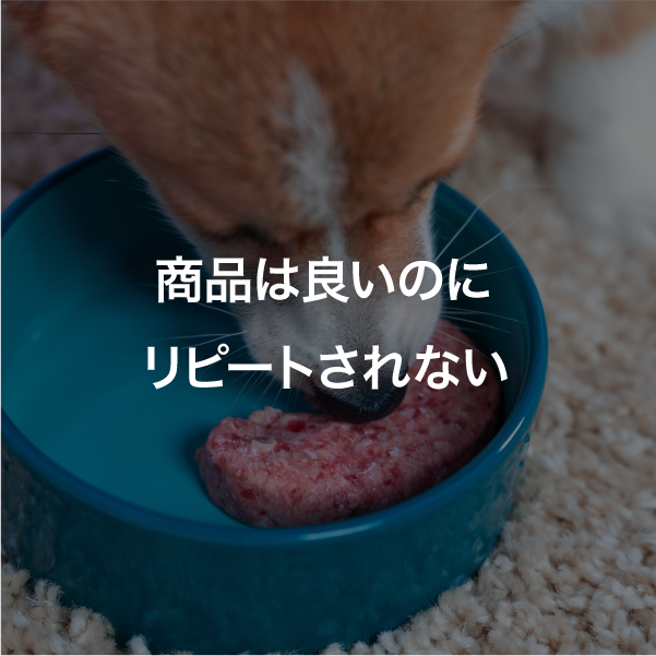 DEGORA（デゴラ）のケースレコード画像04